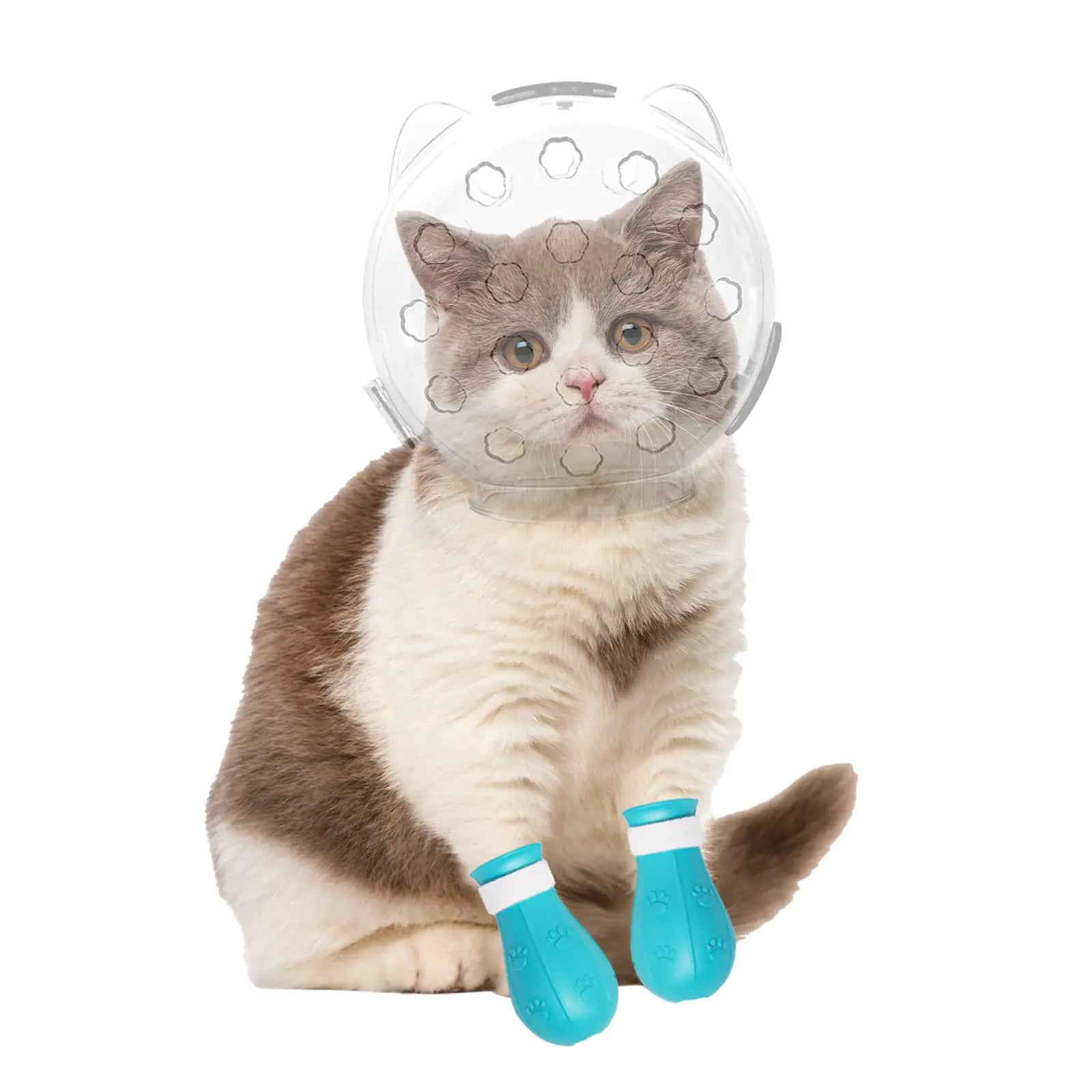 "Salon Quality at Home."