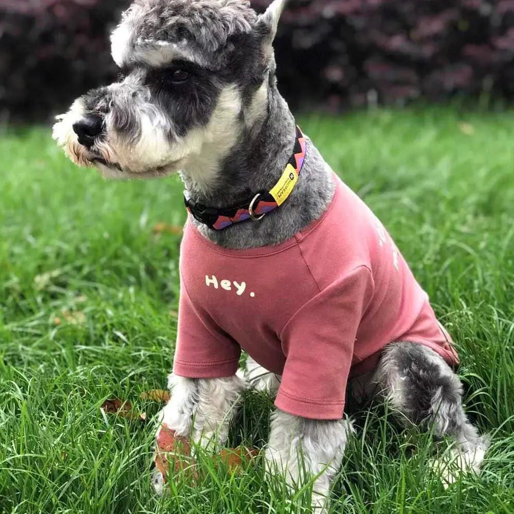 Korean Style Simple Printed Pet Clothing