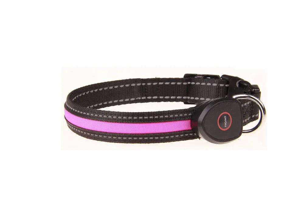 USB Rechargeable Luminous Dog Collar