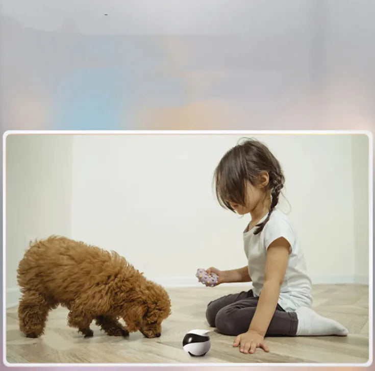 Robot Monitoring Mobile Camera