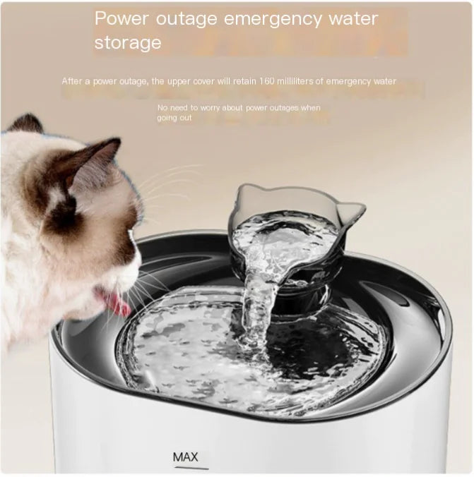 Pet USB Electric Water Feeder Lacks Water And Power