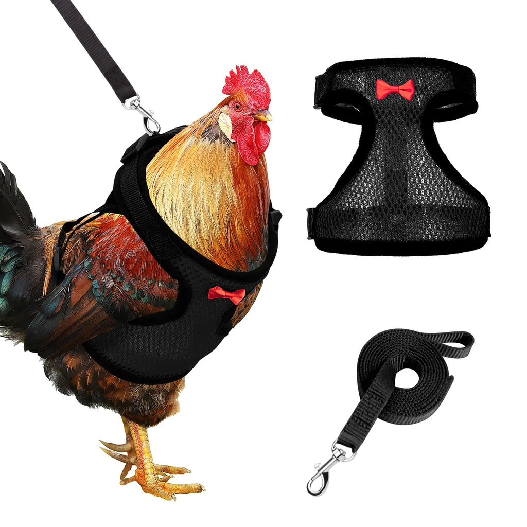 Adhafera Chicken Harness with Leash Upgraded Double Adjustment Chicken Harness and Leash Set for Hens Duck Goose Small Pet (Black S)