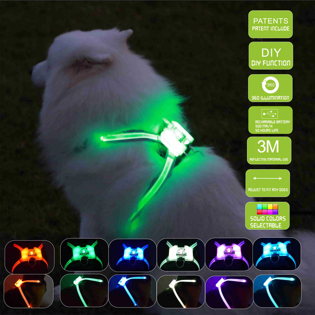 LED Rechargeable Silicone Luminous Dog Collar (All Sizes)