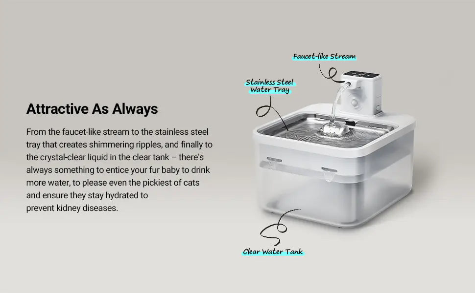 Smart Wireless Pet Water Dispenser