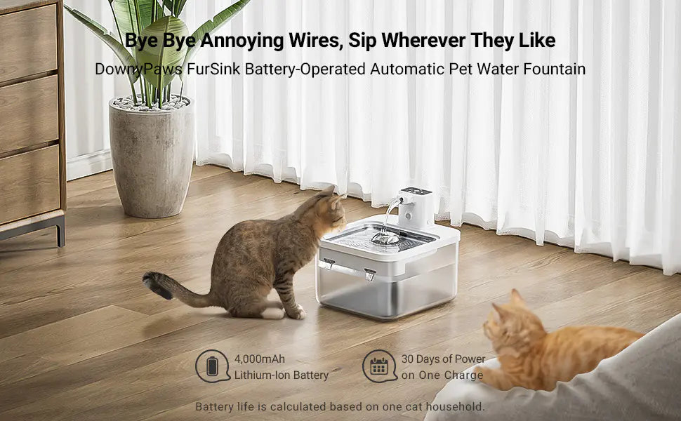 Smart Wireless Pet Water Dispenser