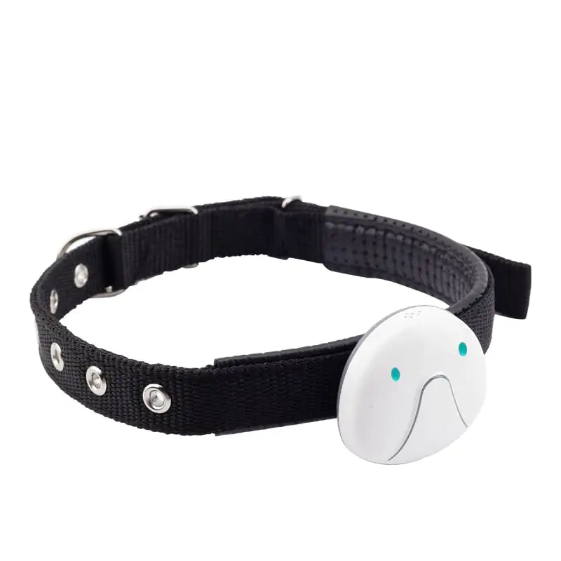 Mini Smart Wearable Locator for Pets