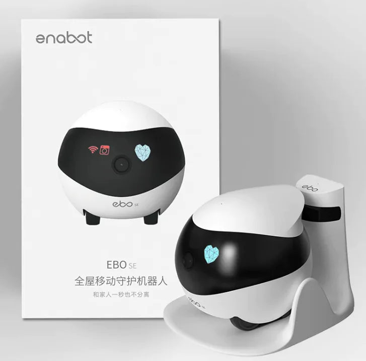 Robot Monitoring Mobile Camera