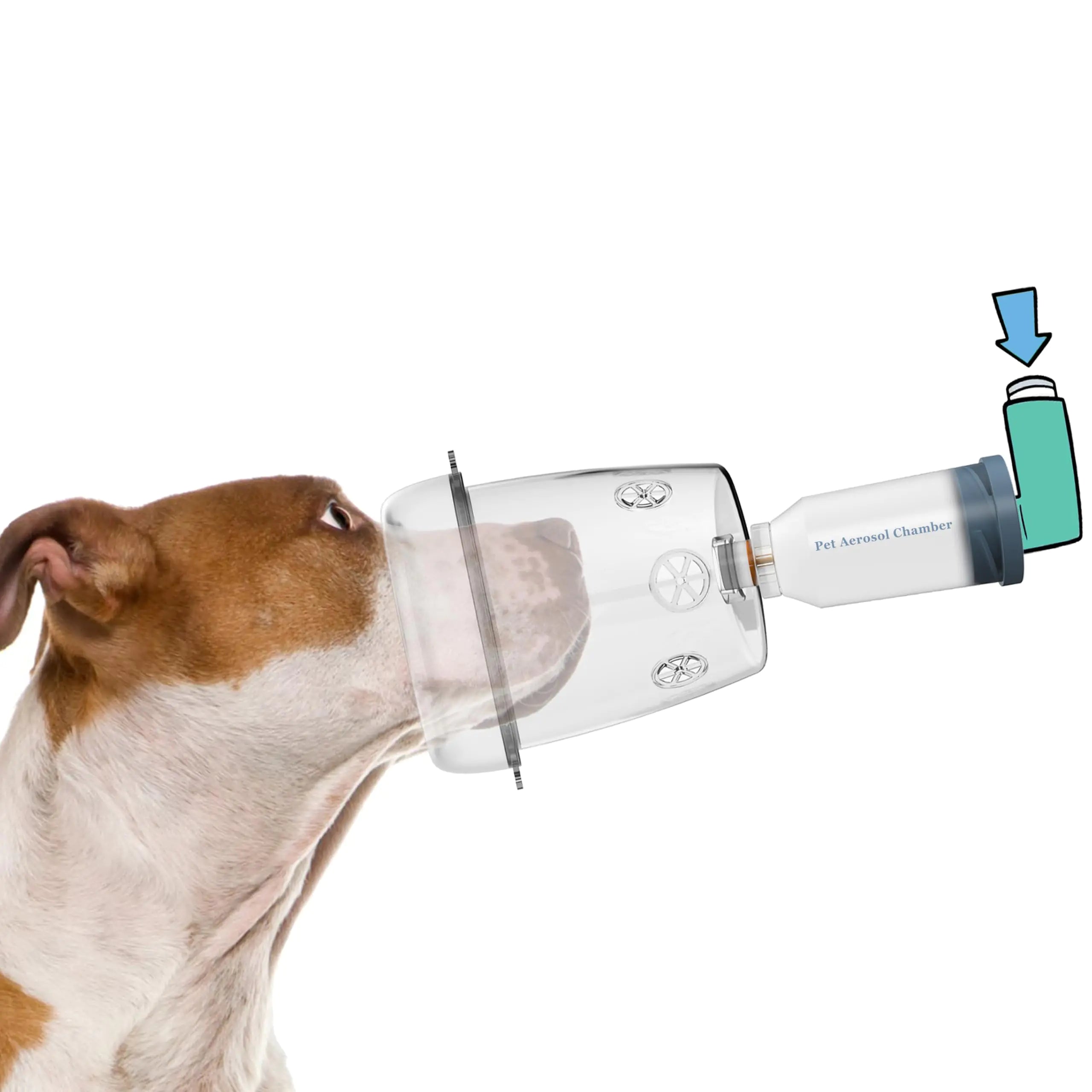 Canine Aerosol Chamber Inhaler Spacer for Cats Dogs Horse and Other Wildlife (L- Large Dogs)