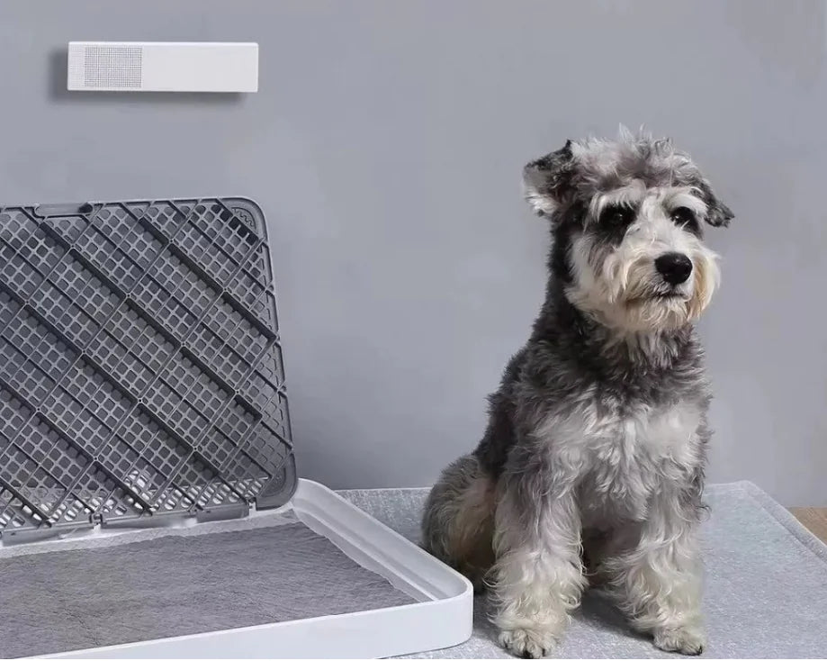 Smart Odor Eliminator for Pets